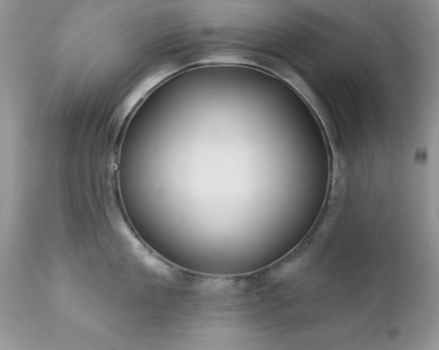 X0000111790909200907301142