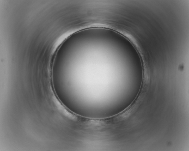 X0000111790910200907301142