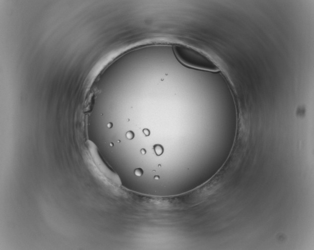 X0000111790911200907301142