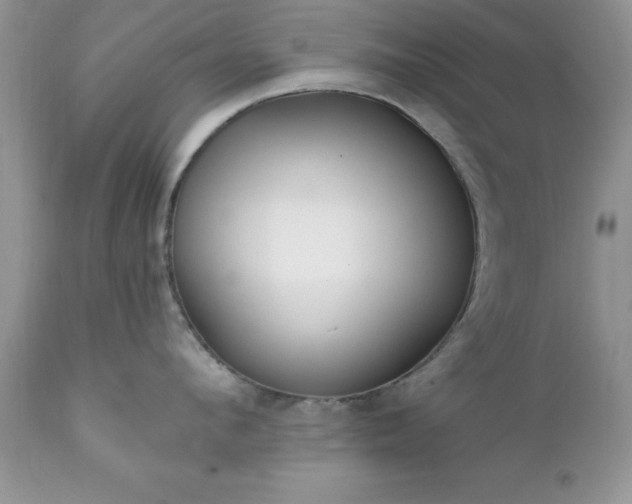 X0000111790912200907301142