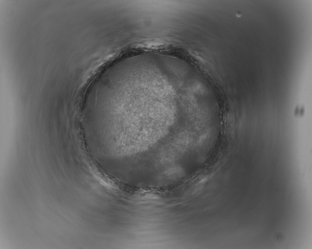 X0000111790913200907301142