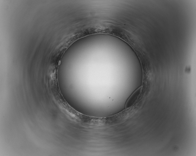 X0000111790914200907301142