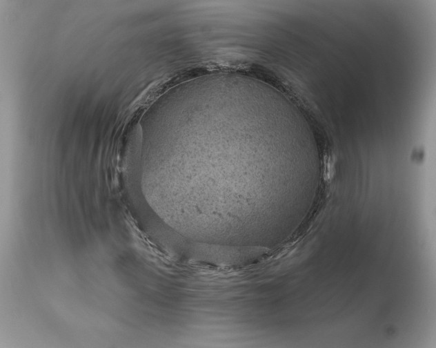 X0000111790915200907301142