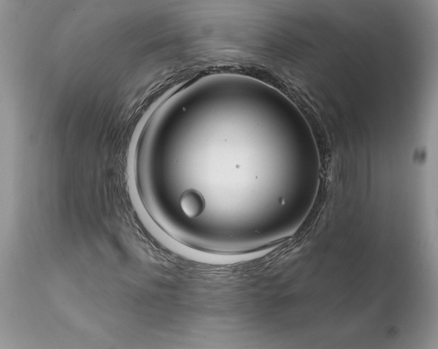 X0000111790916200907301142