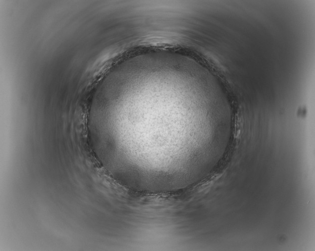 X0000111790917200907301142