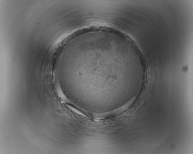 X0000111790919200907301142