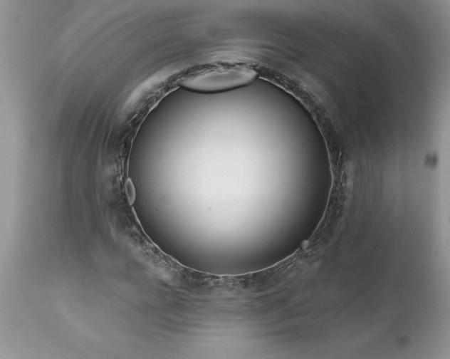 X0000111790920200907301142