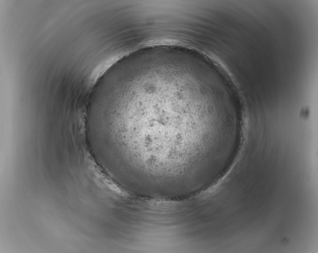 X0000111790921200907301142