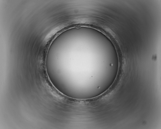 X0000111790922200907301142