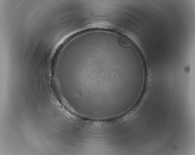 X0000111790923200907301142