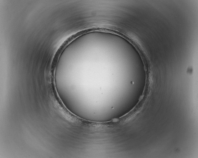 X0000111790924200907301142