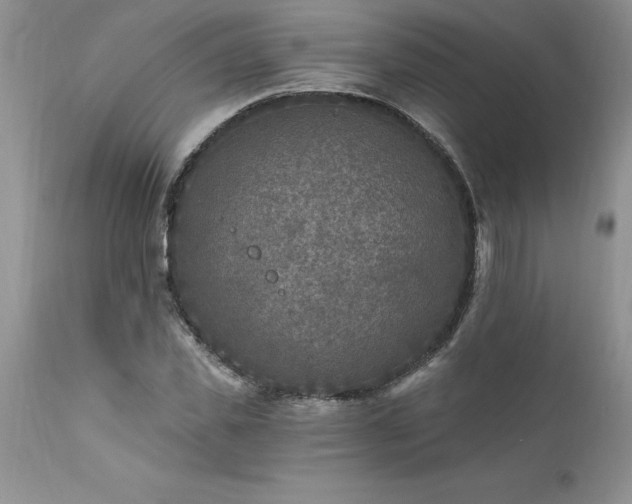 X0000111790925200907301142