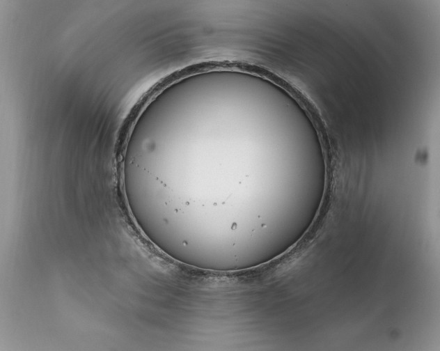 X0000111790927200907301142