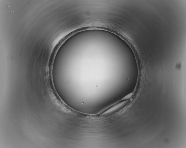 X0000111790928200907301142