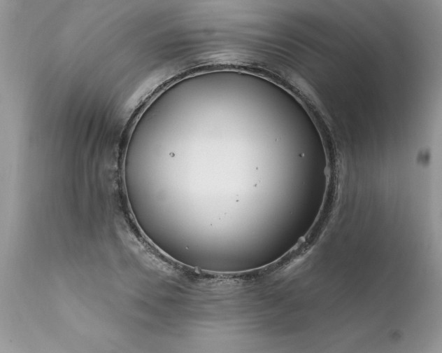 X0000111790930200907301142