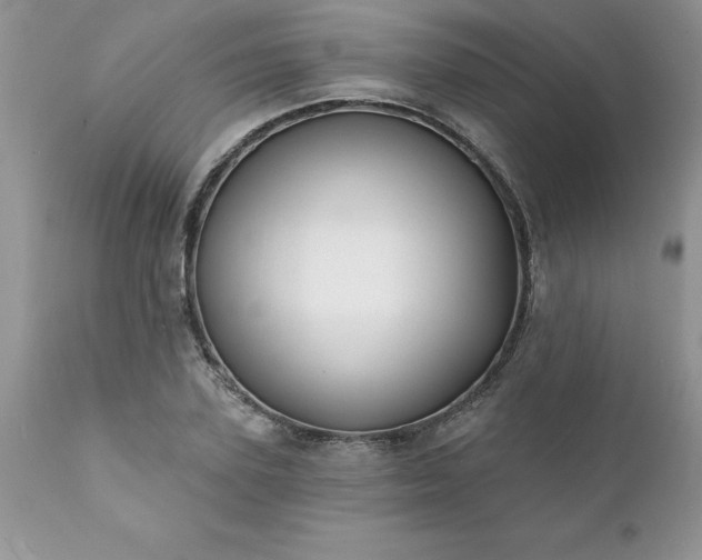 X0000111790931200907301142