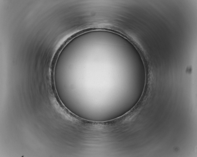 X0000111790932200907301142