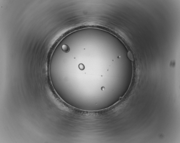 X0000111790934200907301142