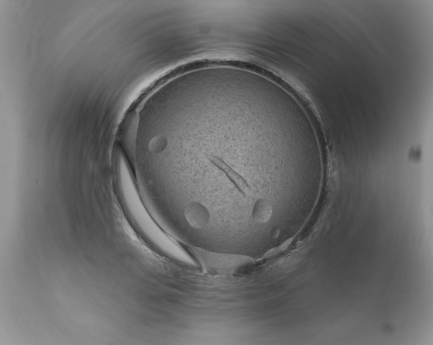 X0000111790935200907301142