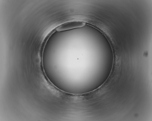 X0000111790936200907301142