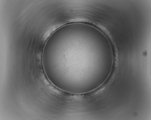 X0000111790937200907301142