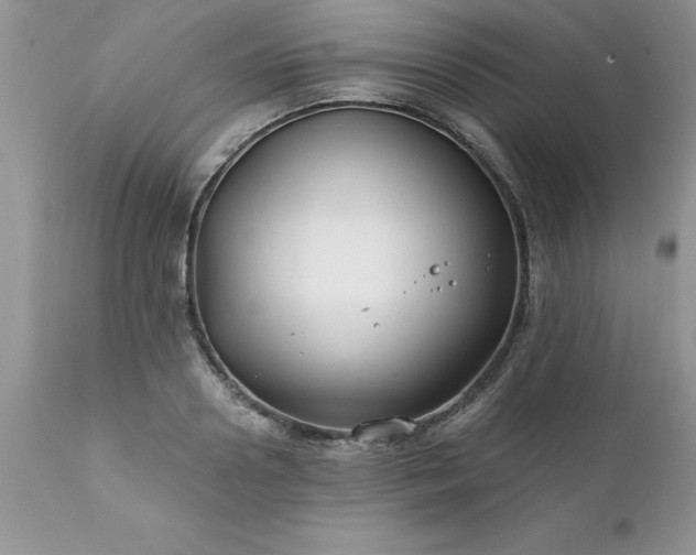 X0000111790938200907301142