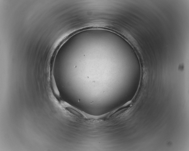 X0000111790939200907301142