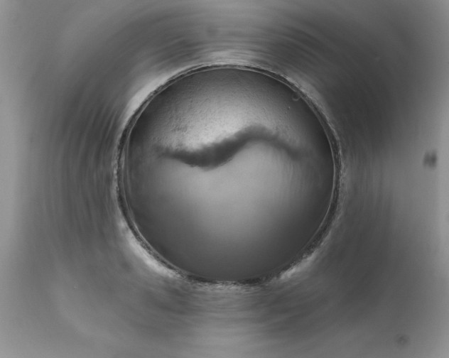 X0000111790941200907301142