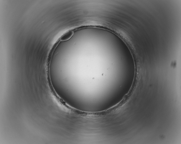 X0000111790942200907301142