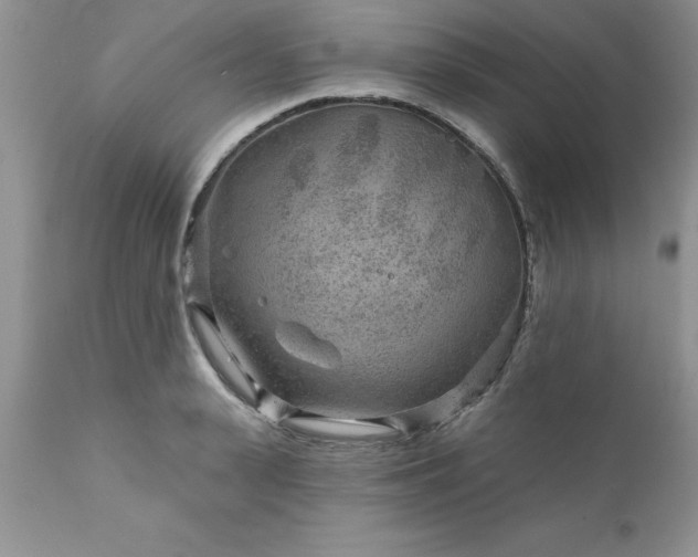 X0000111790943200907301142