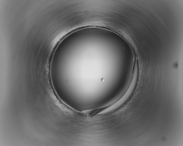 X0000111790944200907301142