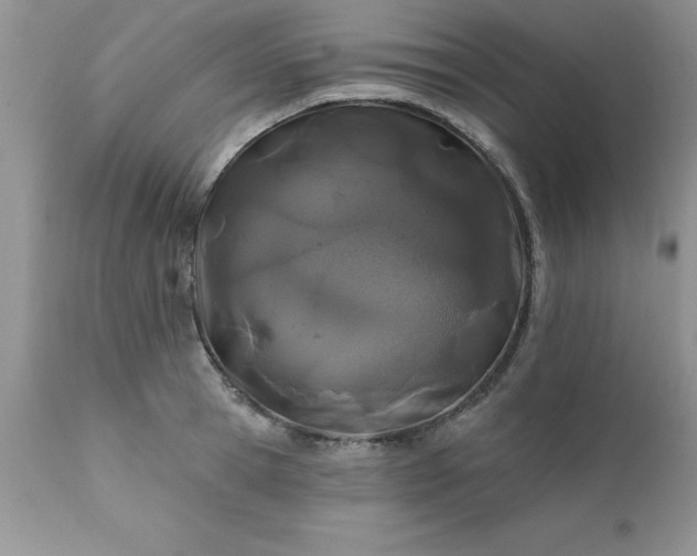 X0000111790945200907301142