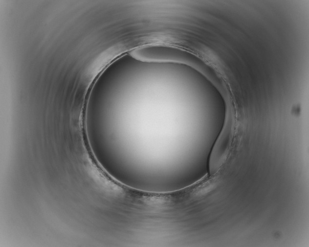 X0000111790946200907301142