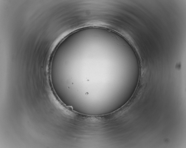 X0000111790947200907301142