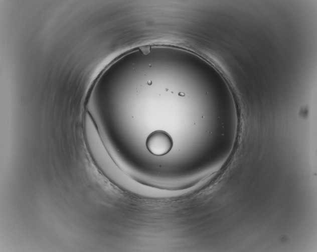 X0000111790948200907301142