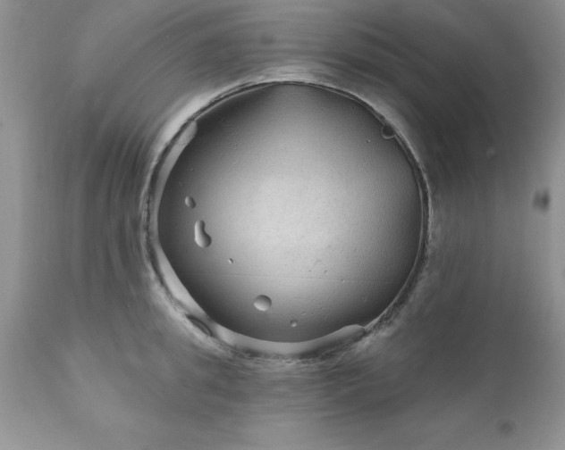 X0000111790949200907301142