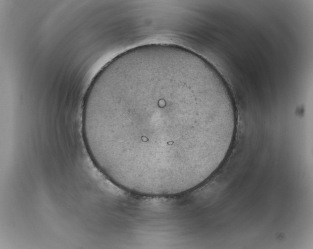 X0000111790950200907301142