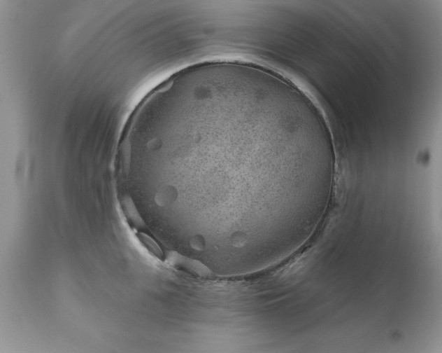 X0000111790951200907301142