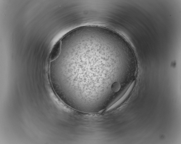 X0000111790952200907301142