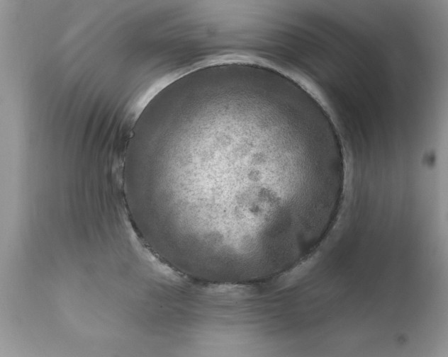 X0000111790953200907301142