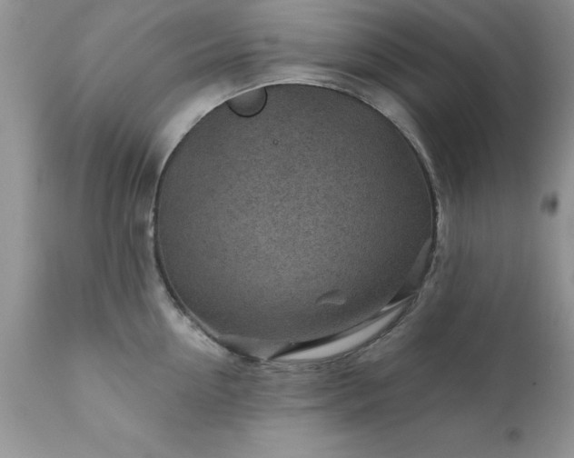 X0000111790954200907301142