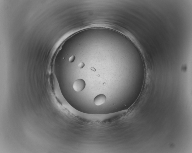 X0000111790955200907301142