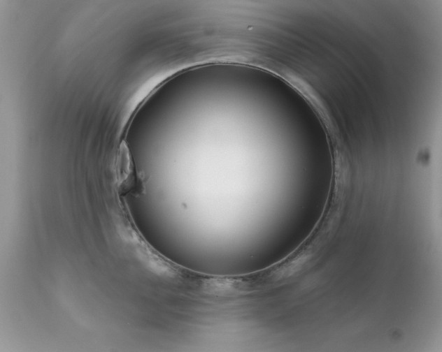 X0000111790956200907301142