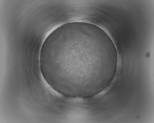 X0000111790957200907301142