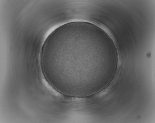 X0000111790958200907301142