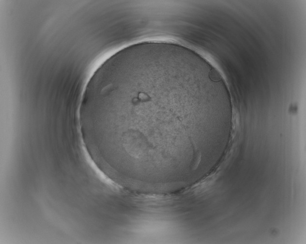 X0000111790959200907301142