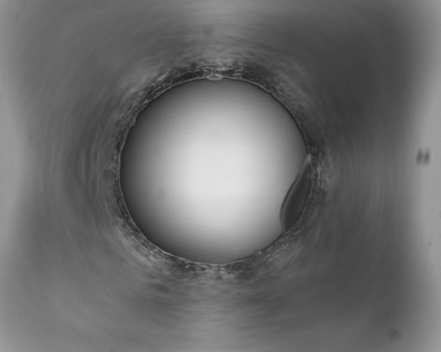 X0000111790961200907301142