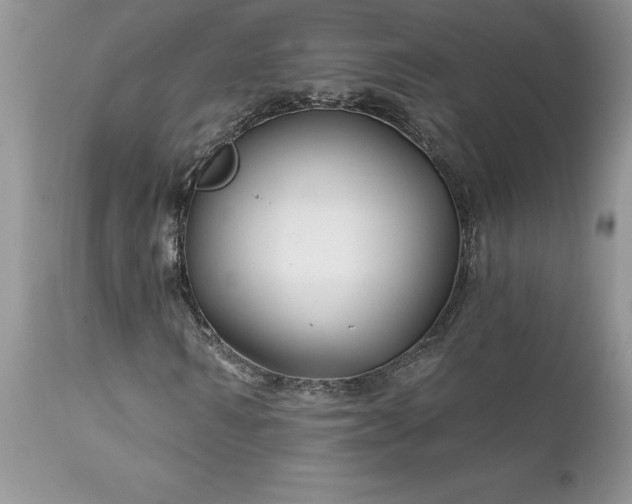 X0000111790962200907301142