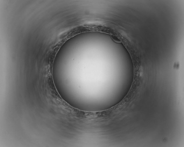 X0000111790965200907301142