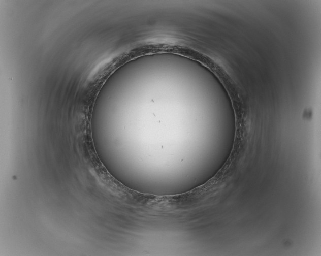 X0000111790967200907301142